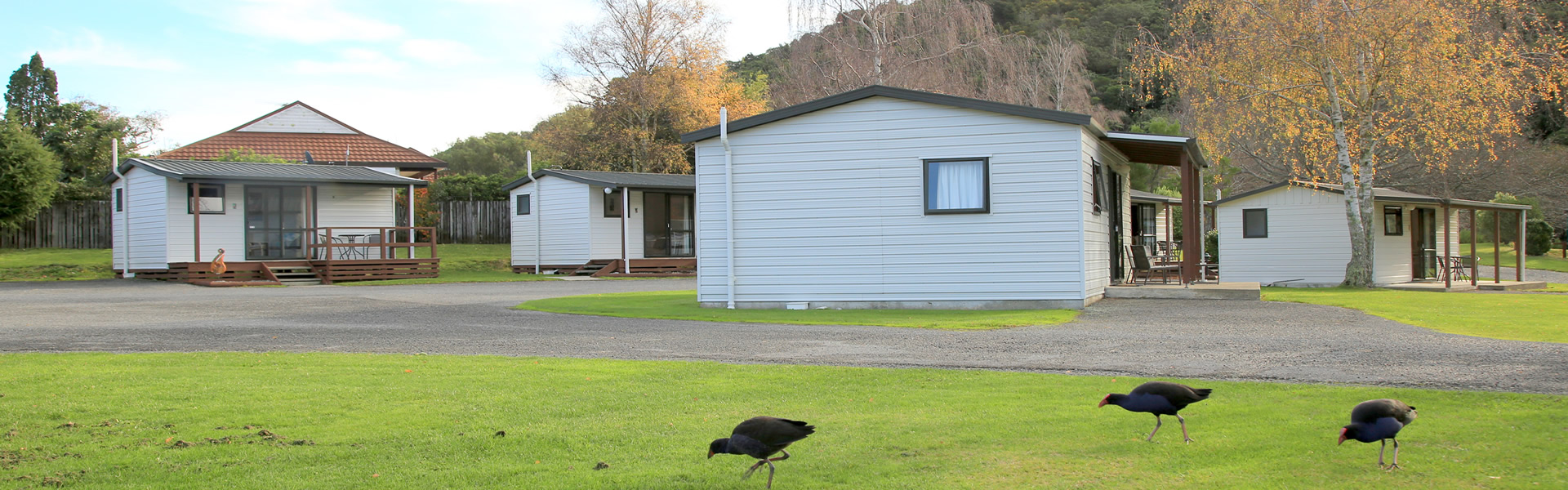Self Contained Units At Parklands Marina Holiday Park In Picton NZ