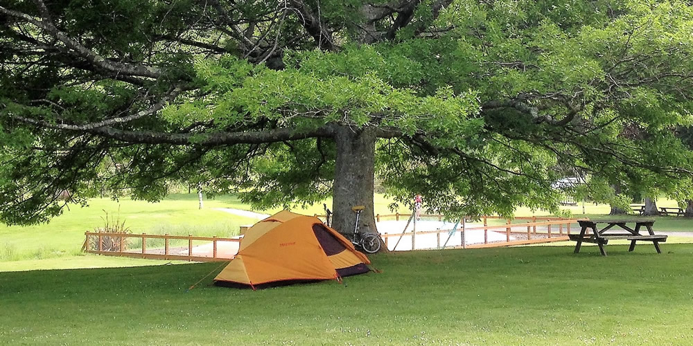 Tent Site Accommodation At Parklands Marina Holiday Park In Picton NZ